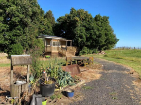 The Treehut Ohauiti
